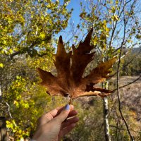 Ezgi K. (@e2gi_) 's Twitter Profile