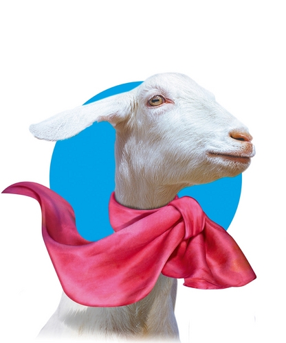 I’m a goat from Somerset. I help make Capricorn Somerset Goats Cheese. Lover of food, curator of the #CapricornChallenge. Tweet me and I'll bleat ya baa-ck!