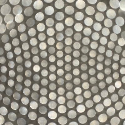 TaxTheChurchess's profile picture. 