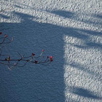 視界の記憶　|　
日常 / 写真 / daily photo　|　
fujifilm / X-T5