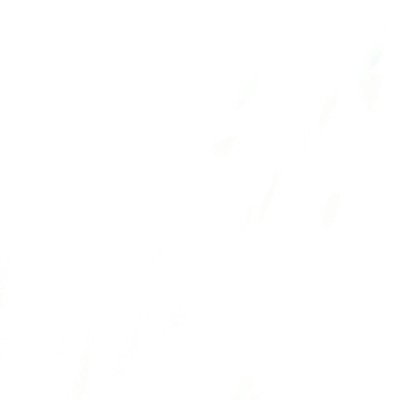 purve_rev50039's profile picture. 