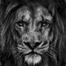 lion D (@ramke647733) Twitter profile photo