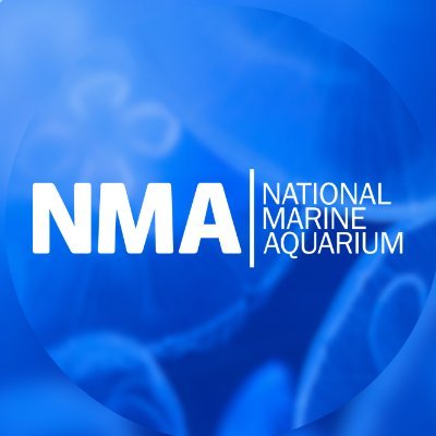 NMAPlymouth Profile Picture