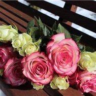 Reiko454558's profile picture. 企業家/個人投資家/資産家。過去に事業に失敗し膨大な負債を抱える、諦めずに再度起業し数社経営。現在は副業情報を教えたり、自分がお金に苦労した経験からお金に困窮している人を助けたいと思い、ほんの僅かですがお金配り企画を実施中💴✩フォローしてくれた中から抽選でメッセします❤