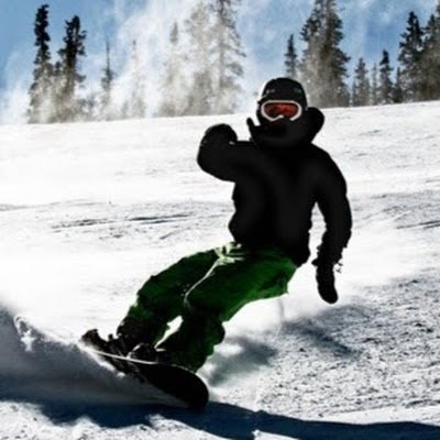 DThesmartc6106's profile picture. 