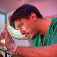 drdavisgarths (@drdavisgarths) 's Twitter Profile