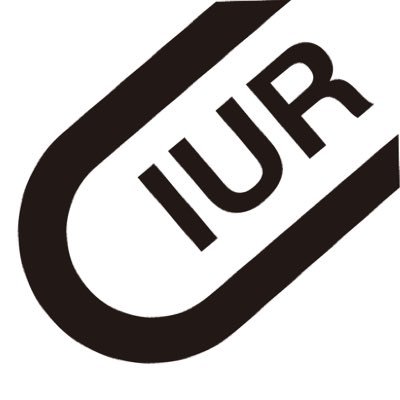 I_U_Racing Profile Picture