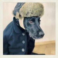Celine de Bxl (@dismoiceline33) 's Twitter Profile Photo Celine de Bxl (@dismoiceline33) 's Twitter Profile Photo