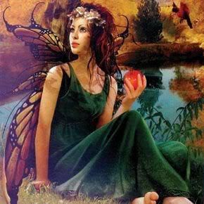 dobwallsswsammy's profile picture. Slimming World Consultant and Team Developer