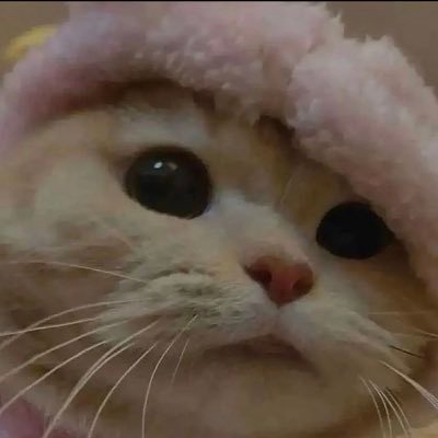 wi_n_t's profile picture. 