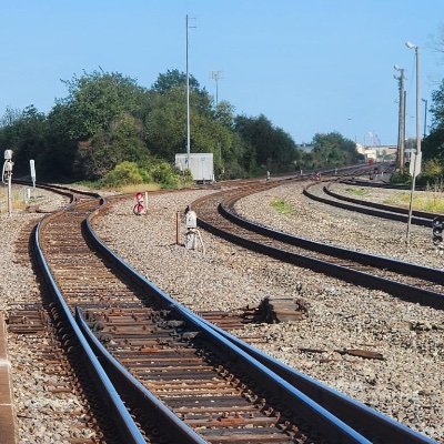 Riding the rails, cruising the seas and taking it day by day with Long COVID