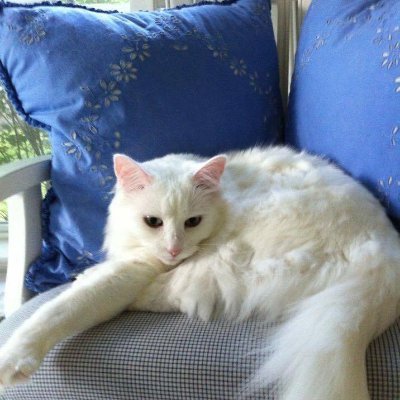 DelbrouckJ30025's profile picture. 