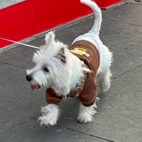 documII (@dhsjxhchd) 's Twitter Profile Photo