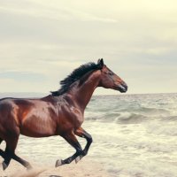 eclipse tips (@eclipsetips) 's Twitter Profile