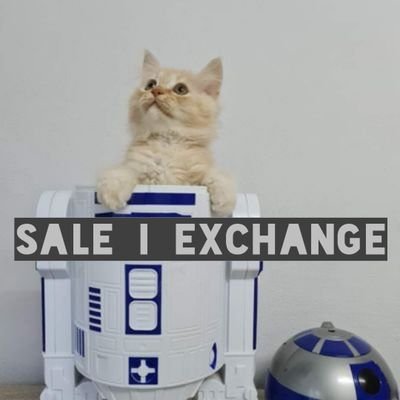 N_Nimppp's profile picture. ☆.｡･*:･ﾟ`☆.｡･* I ขายของ I แลกการ์ด I ☆.｡･*:･ﾟ`☆.｡ 
✮⋆ Twitter = @NIMppp 
✮⋆˙𝙍𝙀𝙑𝙄𝙀𝙒 = #nimpppnspacen