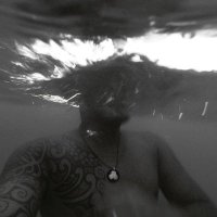Fernando Baggi | NFT.NYC 2024 (@fernandobaggi) 's Twitter Profile