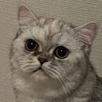 佐伯俊 (@syunsaeki) 's Twitter Profile