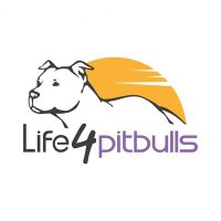 Life4pitbulls(@life4pitbulls) 's Twitter Profile Photo