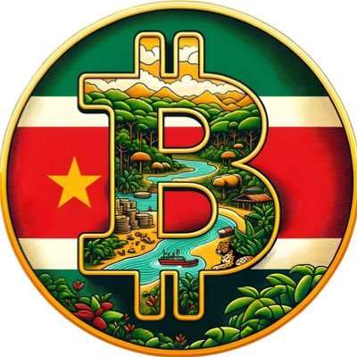Bitcoin Sranan ๐ธ๐ท Profile