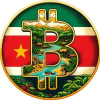 Bitcoin Sranan 🇸🇷 (@bitcoinsranan) Twitter profile photo