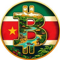 Bitcoin Sranan 🇸🇷(@BitcoinSranan) 's Twitter Profile Photo