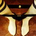 STR8SOXXX (@str8soxxx) Twitter profile photo STR8SOXXX (@str8soxxx) Twitter profile photo