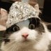 Tim's Foyle Headgear (@timsfoyle) Twitter profile photo Tim's Foyle Headgear (@timsfoyle) Twitter profile photo