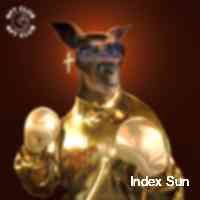 indedxsnnu's profile picture. Everything solana nfts • turn notifications on 🔔