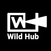 Wild Hub23(@Hub23Wild32521) 's Twitter Profile Photo