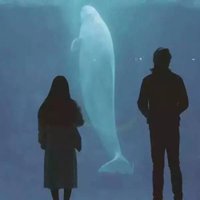 Hoolayl (@hoolayl7783) 's Twitter Profile