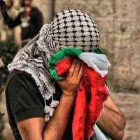Mawtini 🇵🇸 (@mawtinilevent) 's Twitter Profile Photo Mawtini 🇵🇸 (@mawtinilevent) 's Twitter Profile Photo