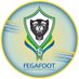 Fédération Gabonaise de Football (@fegafoot_gabon) Twitter profile photo