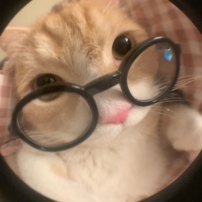 keinscat's profile picture. las adicciones arruinaron mi vida pero la escritura 100pre estuvo ahí