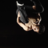 aikolangot17's profile image