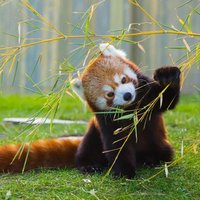 Jessica Chan (@js82696) 's Twitter Profile