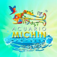 Acuario Michin Guadalajara (@michingdl) 's Twitter Profile