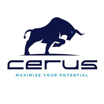 Unlocking yield with SYN NFTs & $CERUS || Metis Community Verified Project || Grab blockchain by the horns ➡️ https://t.co/oECqMDmAIR