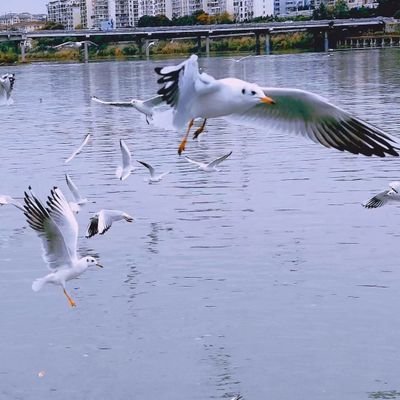 ABC94491057's profile picture. 爱好sp，sm，🐧🐧1589907958