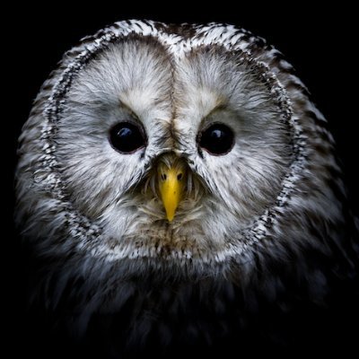 b1raad's profile picture. Electronics/Mechatronics Engineer.