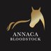 Annaca Bloodstock (@annaca_bs) Twitter profile photo
