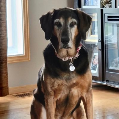 kass_dove's profile picture. Just being me a weird kid