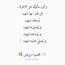 قل للرياح تأتي كيفما شاءت
فما عادت سفننا تشتهي شيئا
حساب بديل ارجوا المتابعه تابعني اتابعك 🙈🙈
