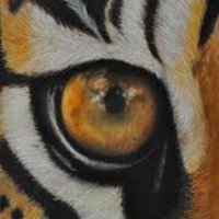 Fahema Ahmed (@ahmed_fahema) 's Twitter Profile