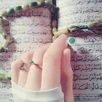 Fara wella (@falafelo99) 's Twitter Profile