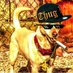 thuglife_nft (@bull_lovers_) Twitter profile photo thuglife_nft (@bull_lovers_) Twitter profile photo