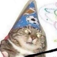 smol pener (@multidollarcorp) 's Twitter Profile