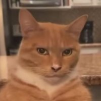 kira (@kira_2764) 's Twitter Profile