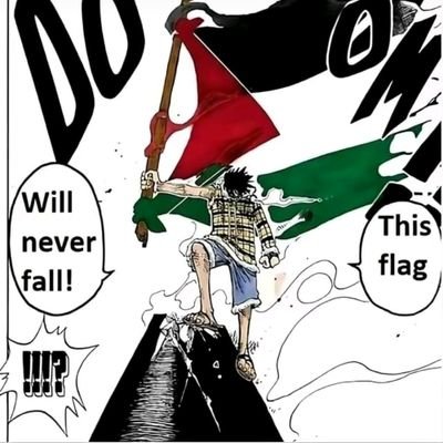 Luffy would be with Palestine 😤😤