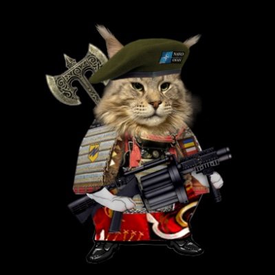 9th cat resurrection... 🇺🇦🤟🇮🇱🤟🇵🇱
! ! ! account reconstruction ! ! 
FAFO dark NAFO
🖕 hamas goatfuckers and 🖕ruzz-orcistan!