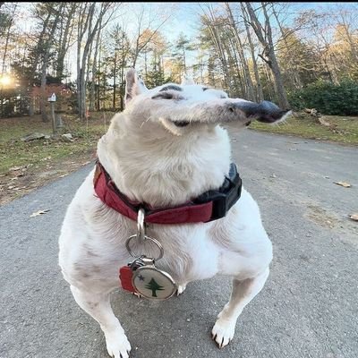 RagnarokTm4's profile picture. Boy